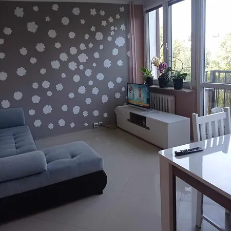 Retro Blisko Parku 公寓