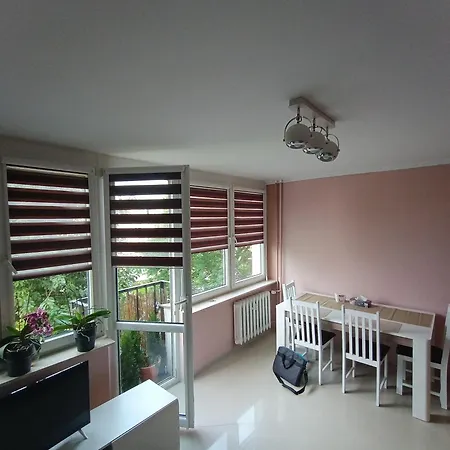 Διαμέρισμα Retro Blisko Parku Κοστζαλίν