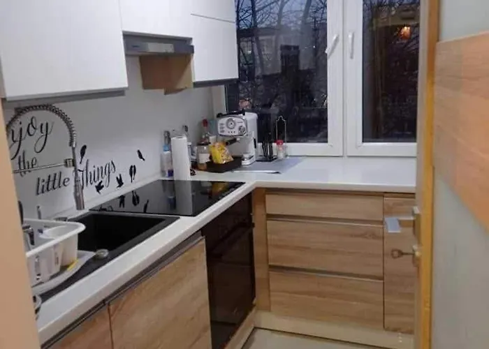 Apartamento Retro Blisko Parku *